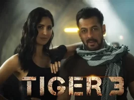 salman khan katrina kaif