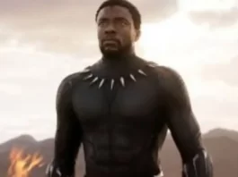 black panther