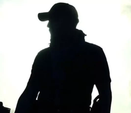 The Freelancer