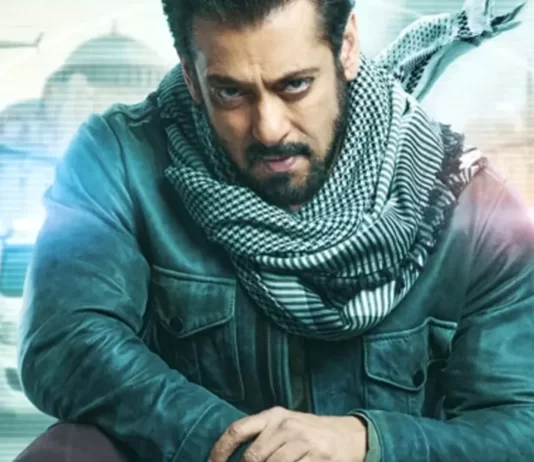 Tiger 3 box office
