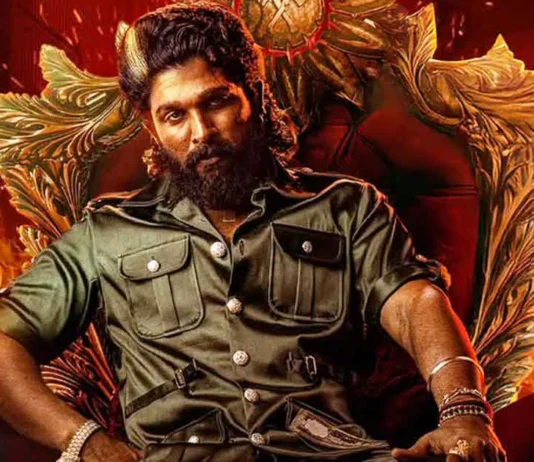 Pushpa 2 Hindi Worldwide Box Office