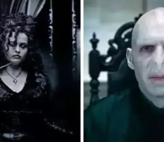 Beyond Voldemort