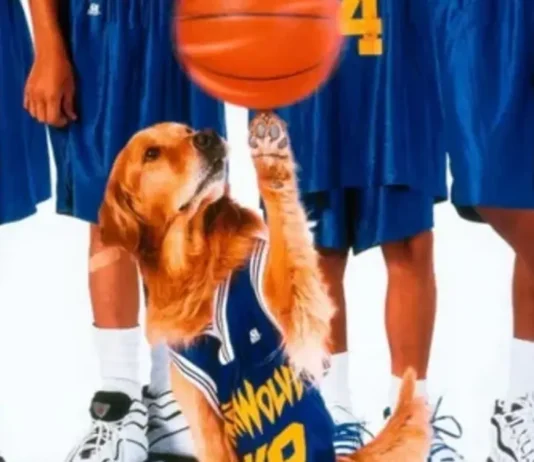 Air Bud Returns